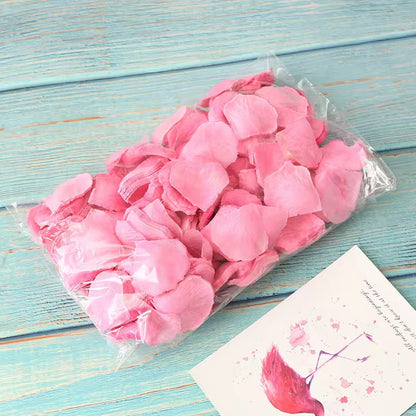 1000 Pieces/Set Semulation Flower Roses